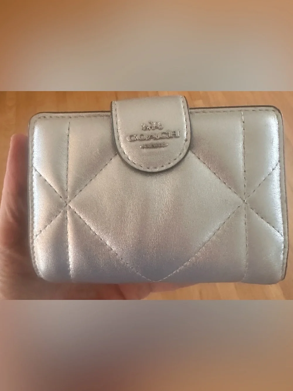 Coach Metallic Silver Teri Shoulder Bag & Wallet Set